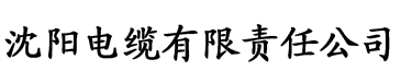 永久升级每天正常更新电缆厂logo